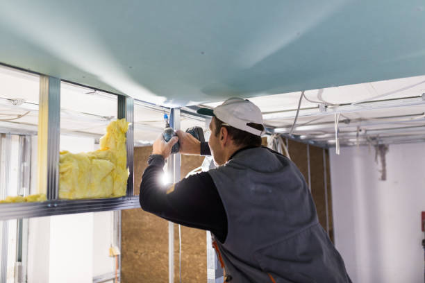 Best Specialized Insulation Services in Waynesville, NC