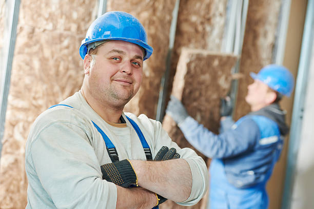 Best Specialized Insulation Services in Waynesville, NC